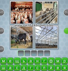 Ответ: ферма