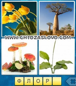 Ответ: флора