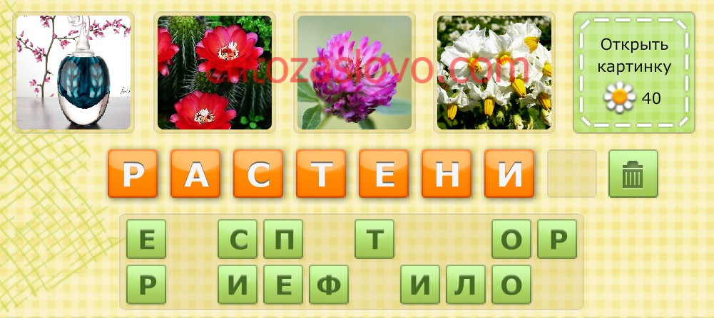 Цветы для угадывания. Отгадай слово растение. Игра отгадай цветок. Слова из 8 букв растение. К к 8 букв растение